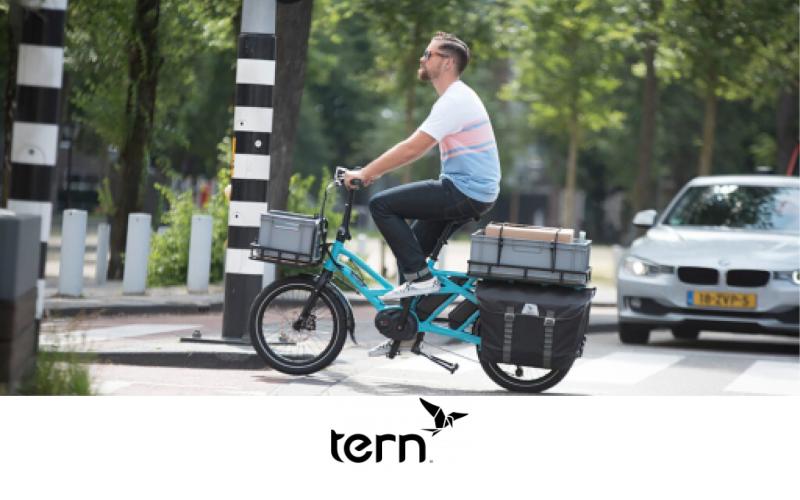 Tern